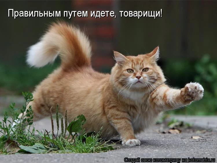 8afhbf.webp