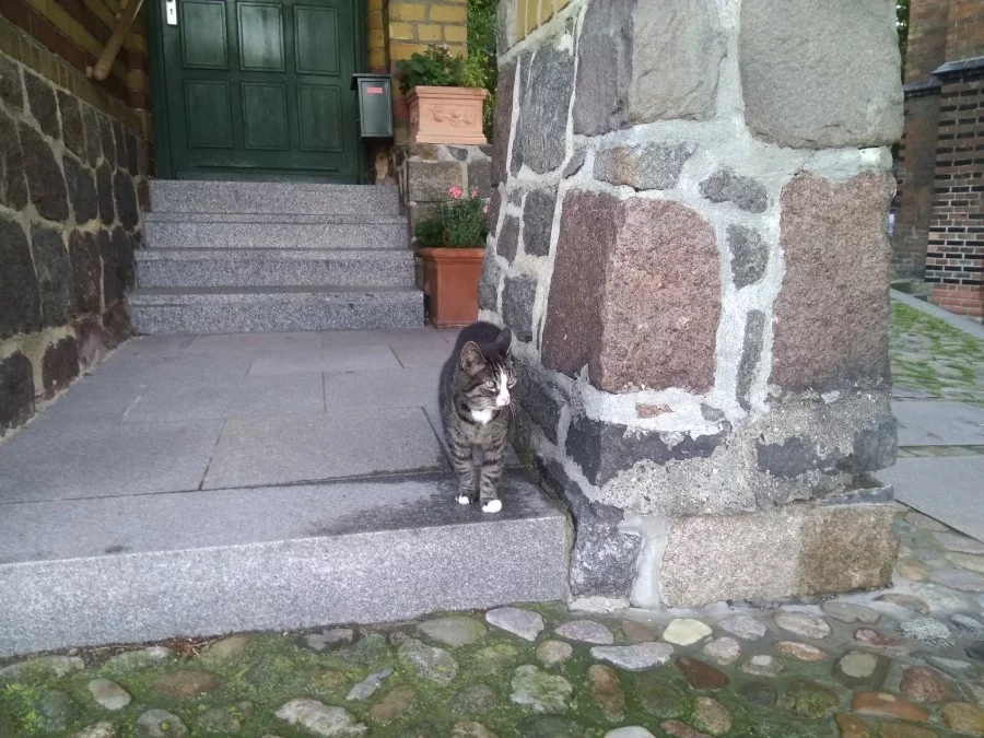 8agfaa.webp