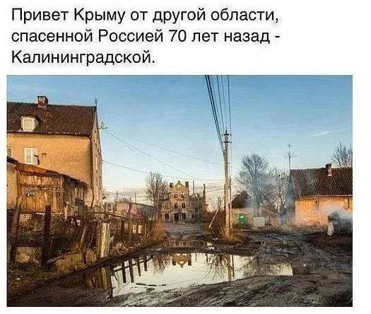 8ahggf.webp