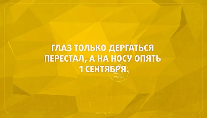 8aONBqX2yFg.webp