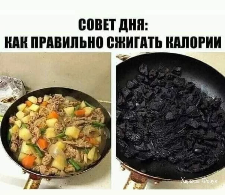 8b0010e2d5c249a6f862.webp