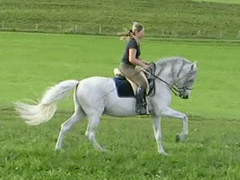 8b0ceef24592400970aee5.gif