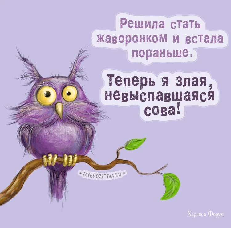 8b10d903e2125965337fd1.webp