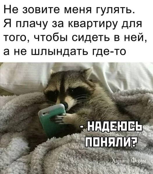 8b134ee814478e9cc628f8bb.webp