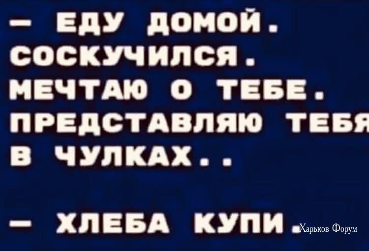 8b151112a00b6e0dfb7.jpg