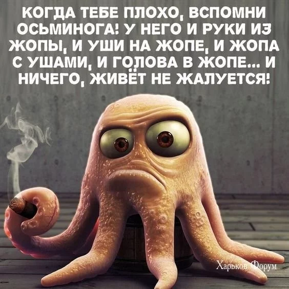 8b1de74a85e1b2f9606f76d2.webp