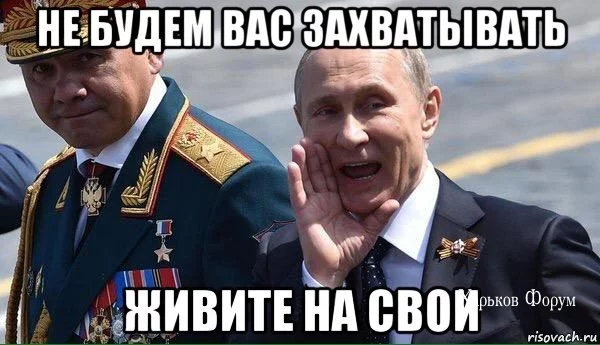 8b1deb8b26dc336b.webp