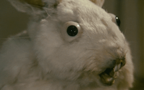 8b1dedfe0cb576749.gif
