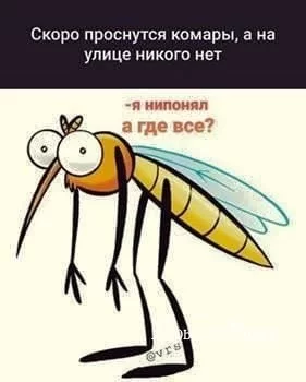 8b3755ecec6aa05618d5d.webp