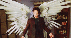 8b456e2e4f595c51d88c.gif