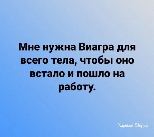 8b63268ee8c19862.webp