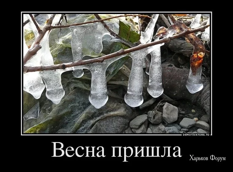 8b8df7d1d2c2b3bdaaebce71.webp