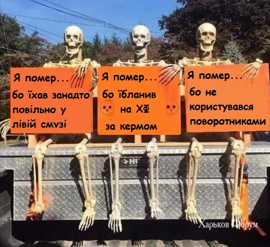 8b90be2d2f17e1adddb.webp