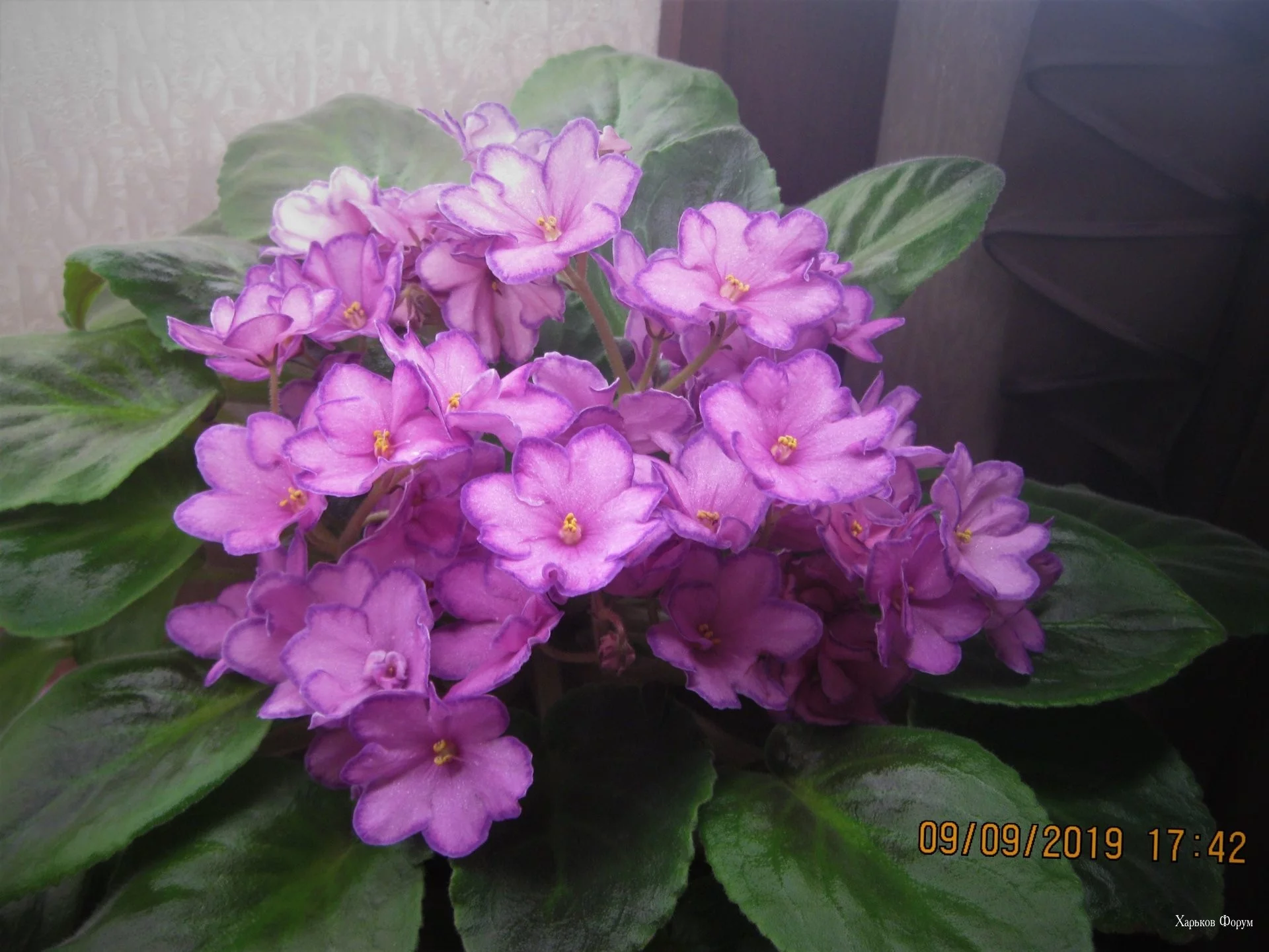 8bb2928a40650fdde9137.webp