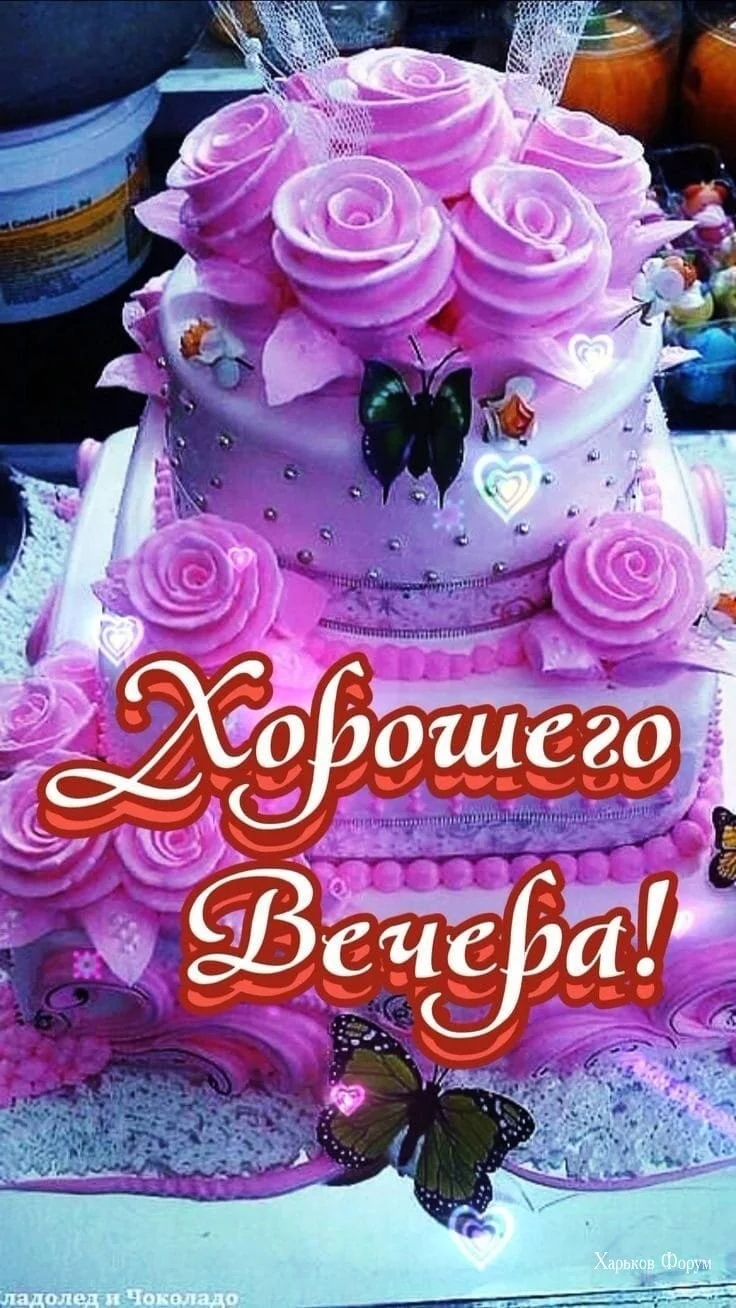 8bb7c1ed056e95ed5.webp