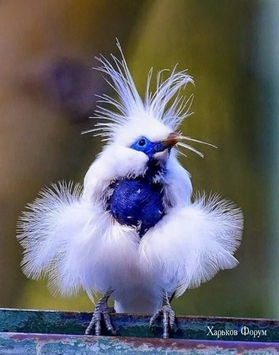 8bce160e1e73745a6.webp