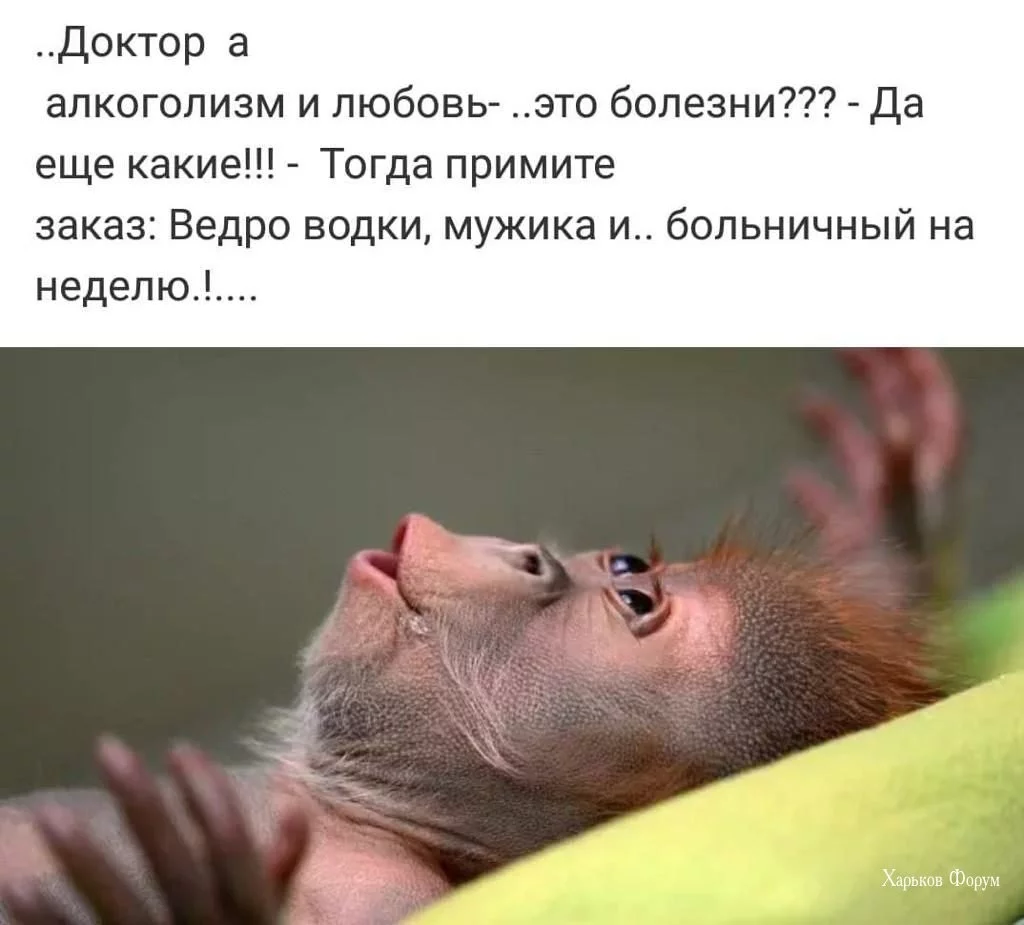 8bd12daffd9329a0895f323.webp