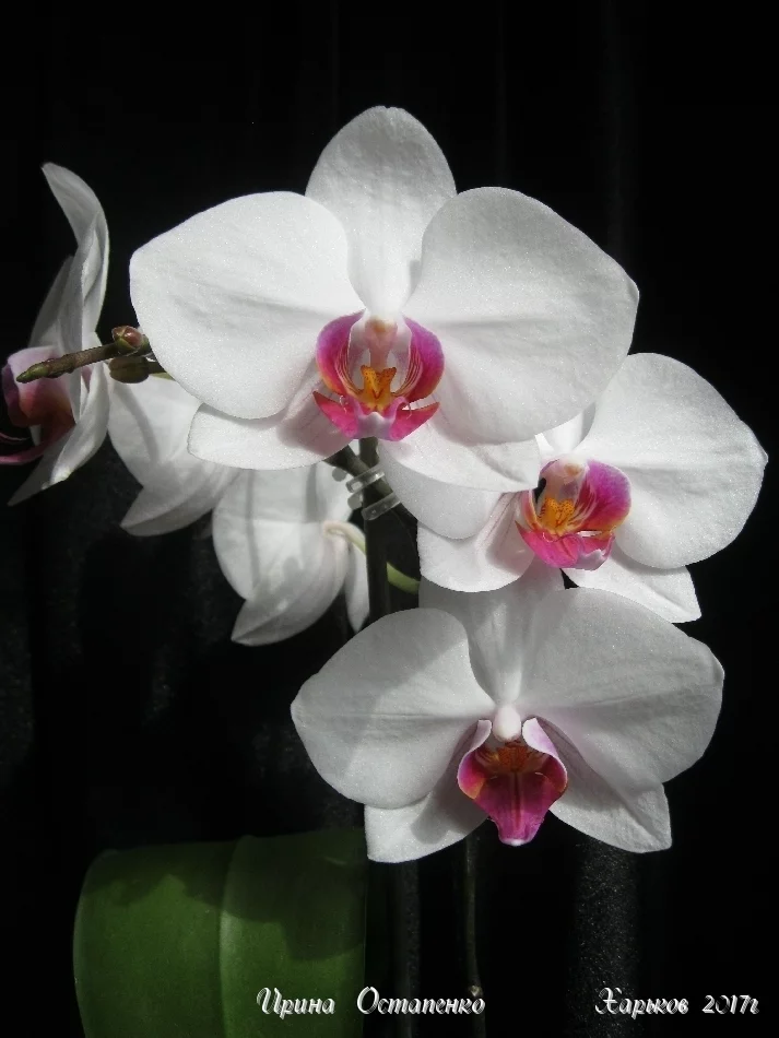 8beahe.webp