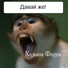 8beb49730d6ac63e976b7957.webp