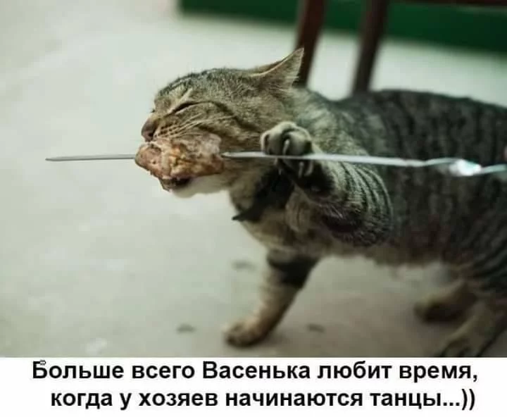8bfbhf.webp