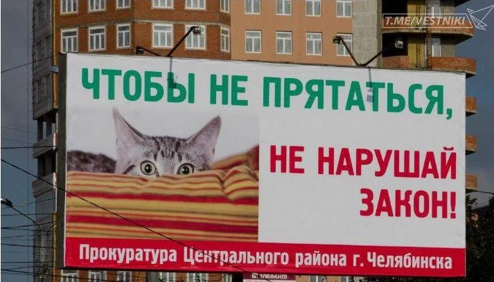 8bfdhj.webp