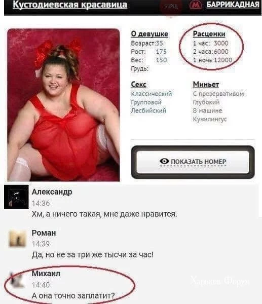 8bfe3e57a65d65393333d.webp