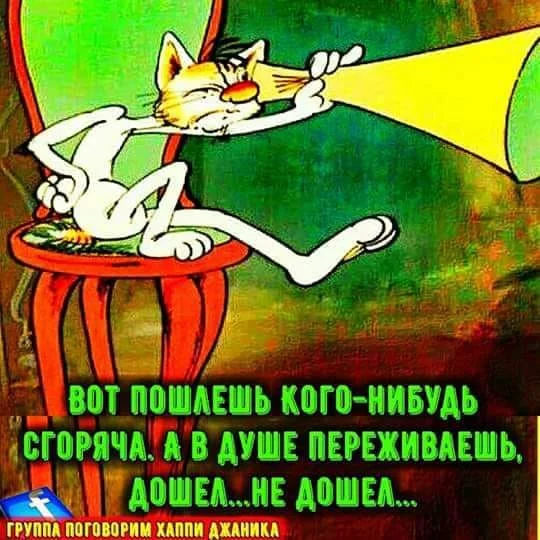 8bgbjg.webp