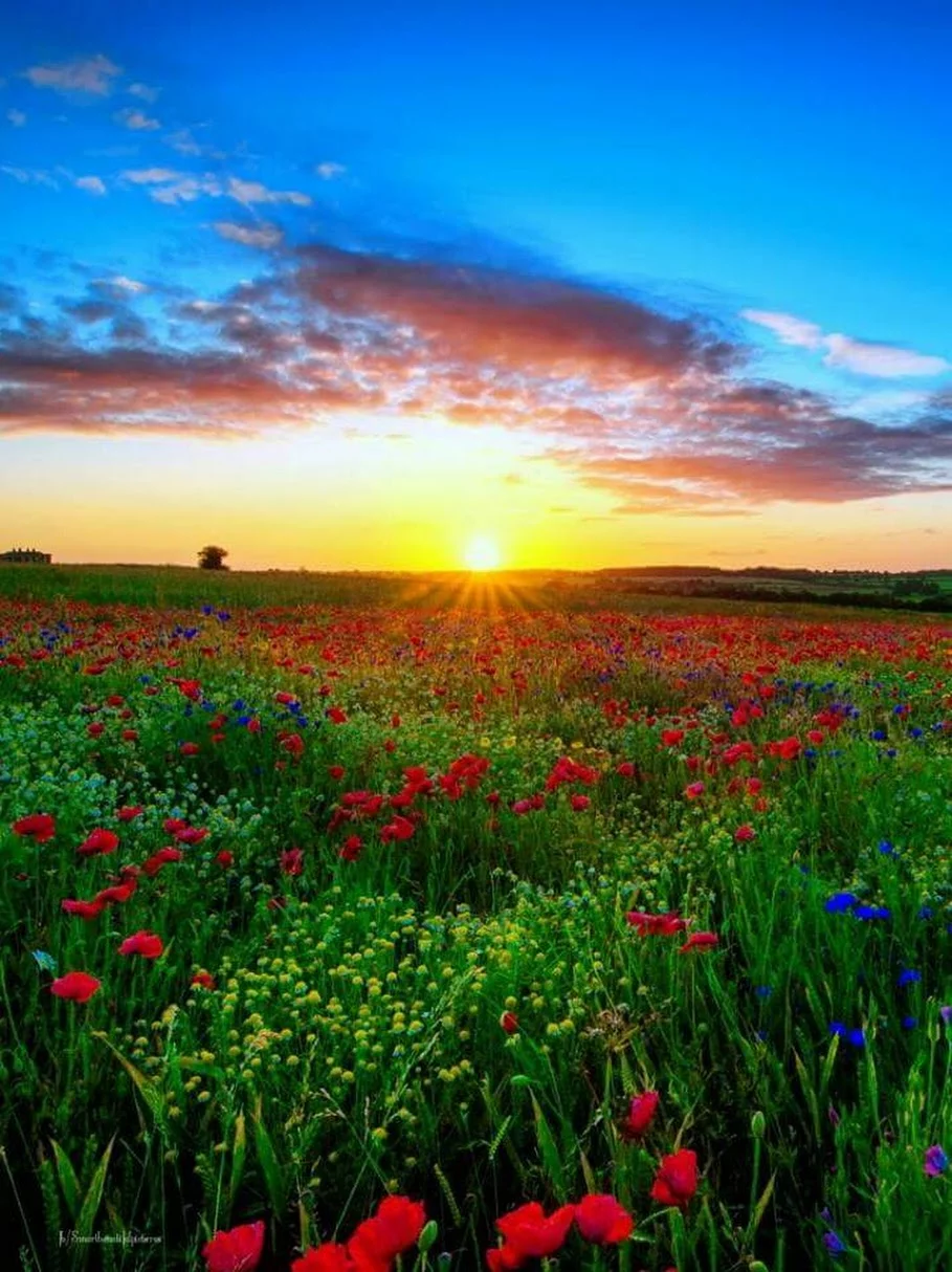 8bgeaj.webp
