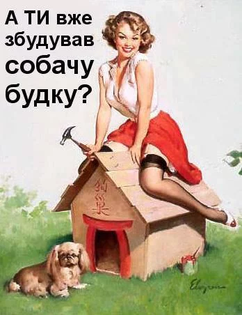 8bghcg.webp
