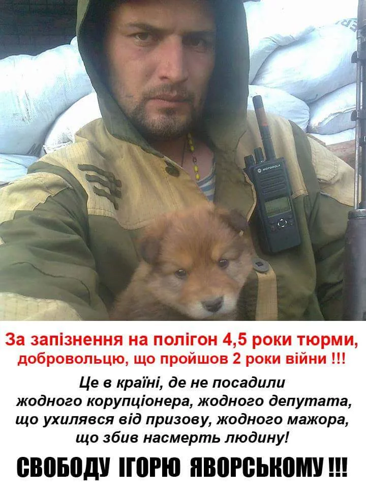8bjfcd.webp