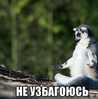 8bjjge.jpg