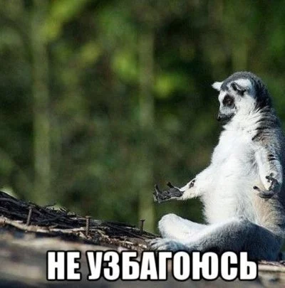 8bjjge.webp