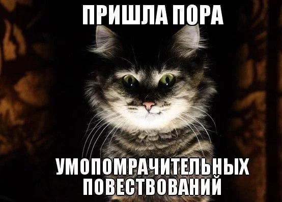 8bOAFdzyyWU.webp