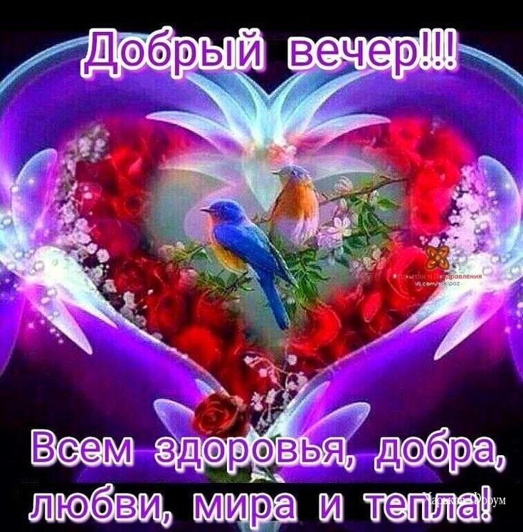 8c14b77fdcd93405d29c19f8.jpg
