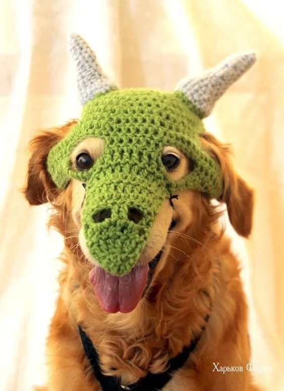 8c157a74c9e99422.webp