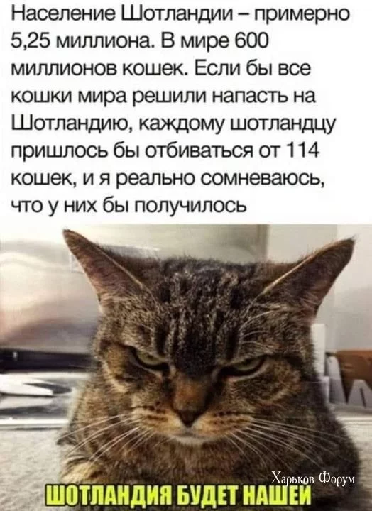 8c25a05398f4d1094.webp