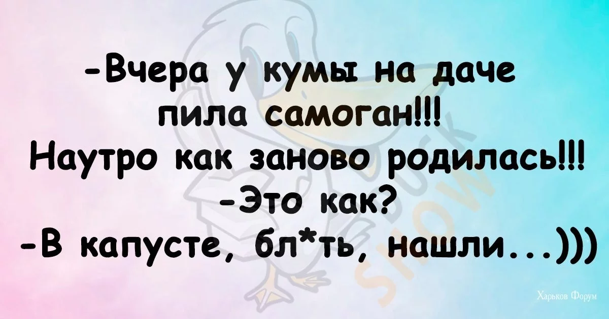 8c29a0ed58dbcd92601.webp