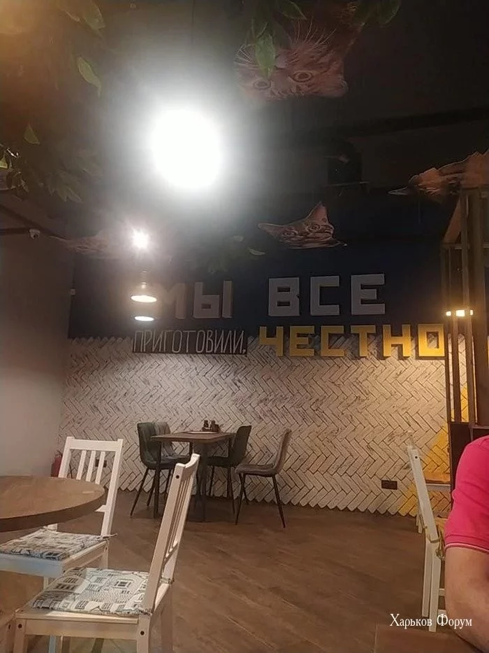 8c2ba03c33c49c82210.webp
