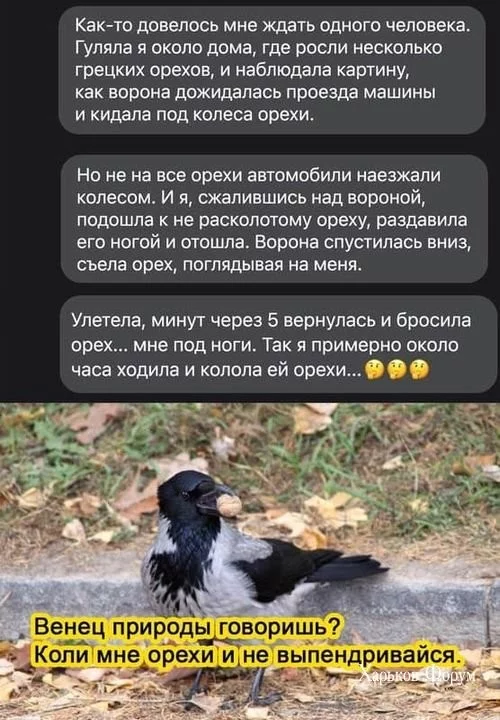 8c3226ceea0ae5a20aa70.webp