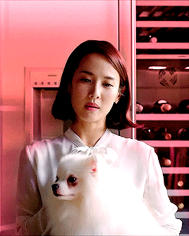8c382fde9e3f7c00873ab93406c86a97807eb046.gif