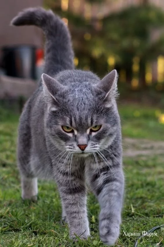 8c437d20206673c3bb2.webp