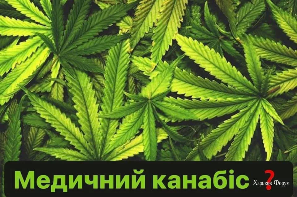 8c4423f305d3131ef893f7c5.webp