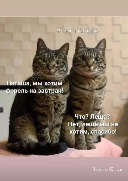 8c4681b190f97d2a8.webp