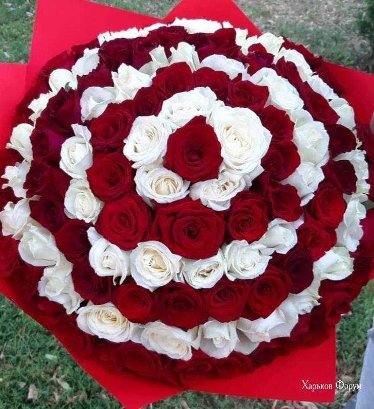 8c56d21dd56242ff544a.webp