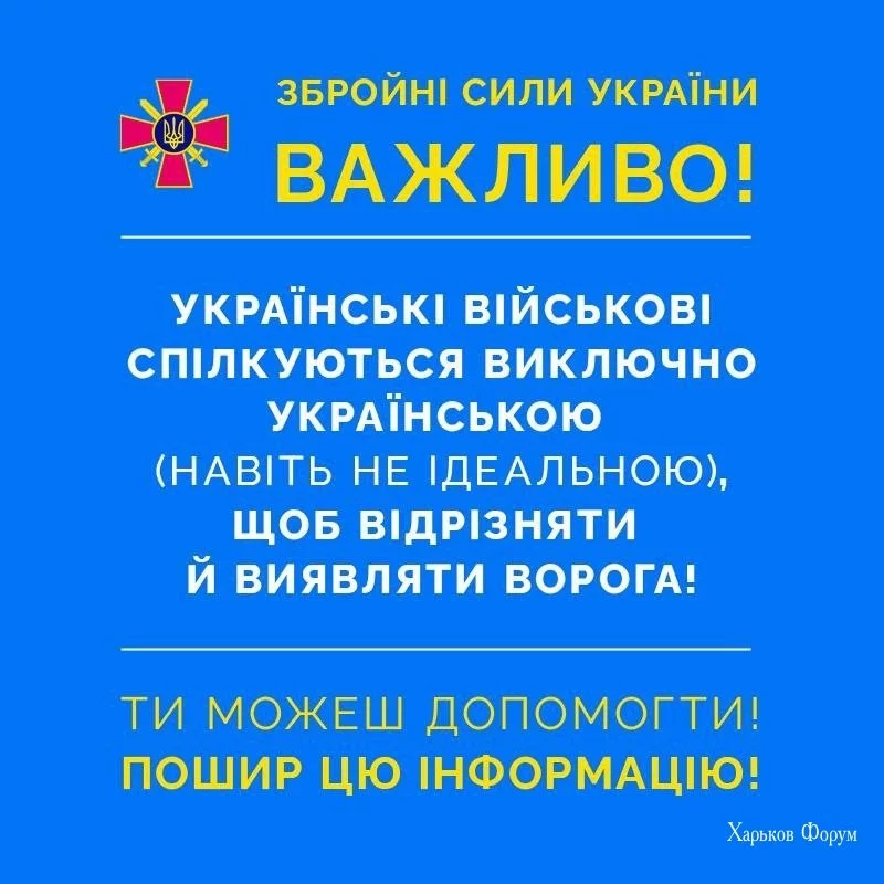 8c718f54a1a65f1031.webp