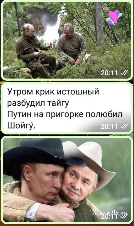 8c779b793d960b3440f8beba.png