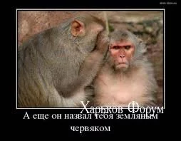 8ca9fcfaf7d690c3.webp