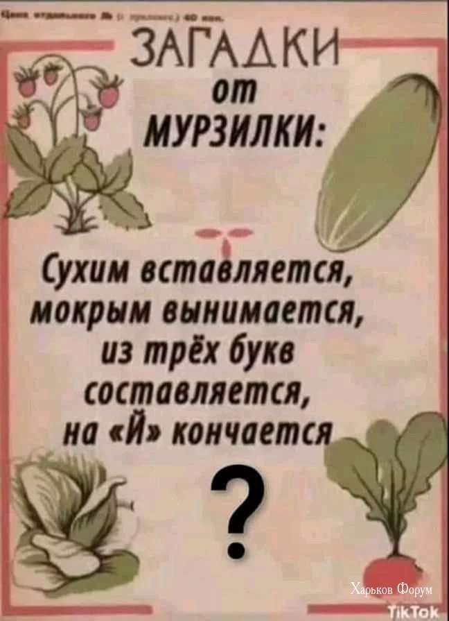 8cac09b21ea6ed6e44a035f.webp
