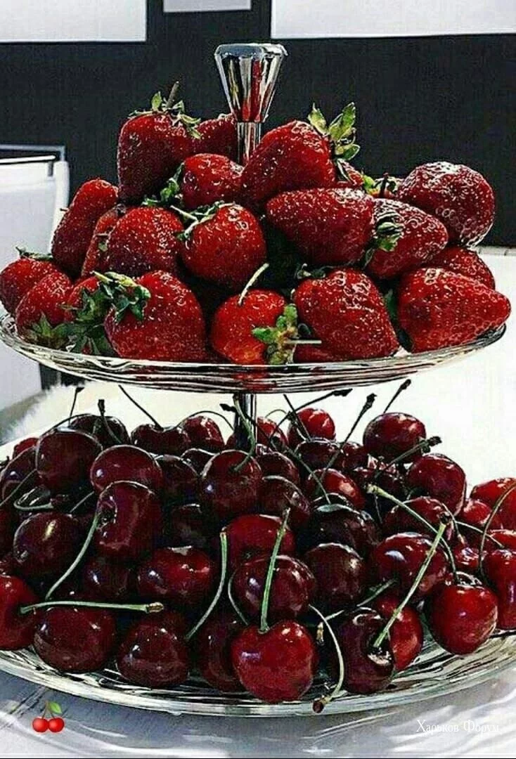 8cb363ce747b4d831093265.webp