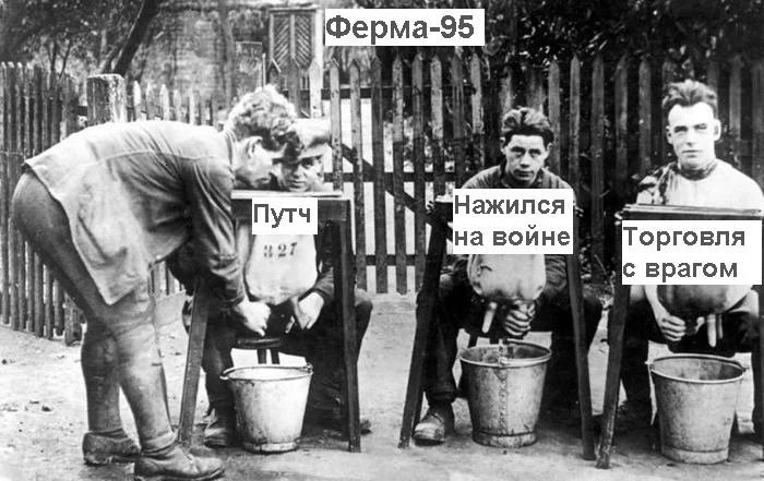 8cb5b498706f04a218a601d6b8150ceb.webp